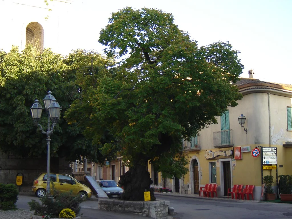 Photo of Fragneto Monforte