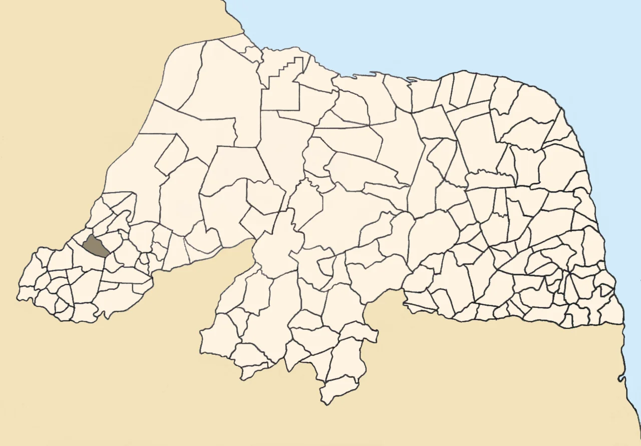 Photo of Francisco Dantas