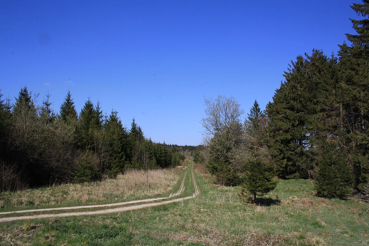 Photo of Frankenheim