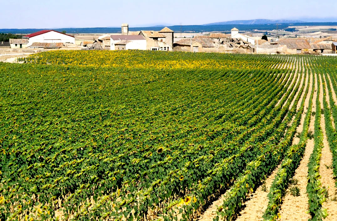 Photo of Frechilla de Almazán