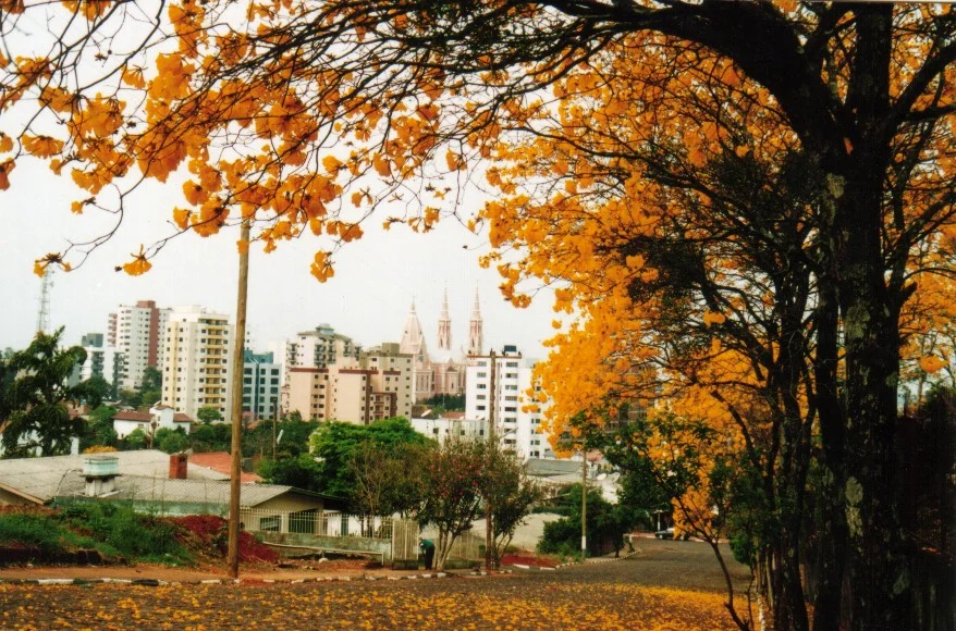 Photo of Frederico Westphalen