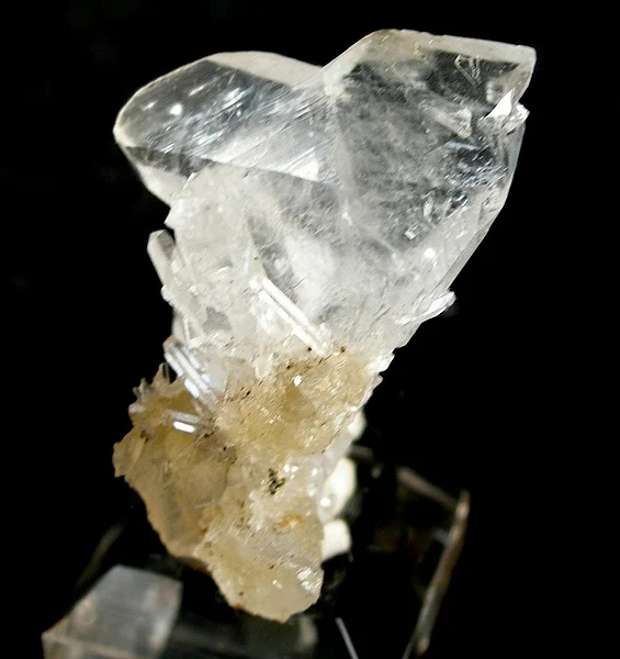 Photo of Frederico Westphalen