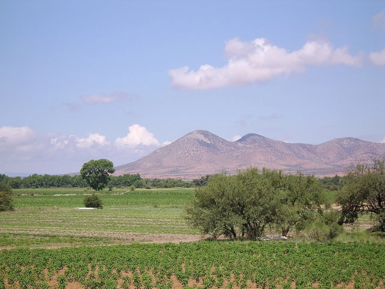 Photo of Fresnillo
