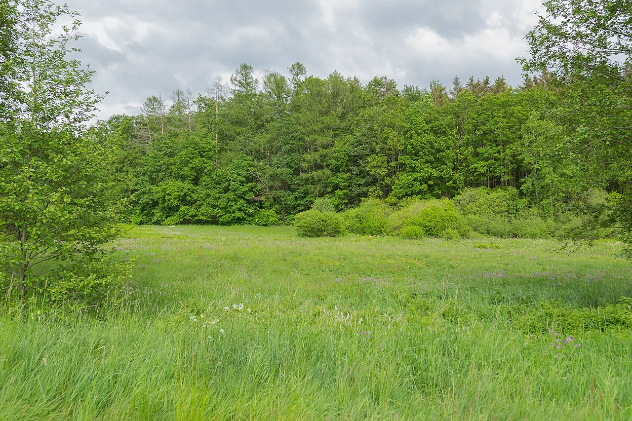 Photo of Friedrichsbrunn