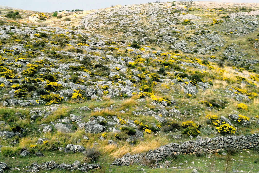 Photo of Fuencemillán