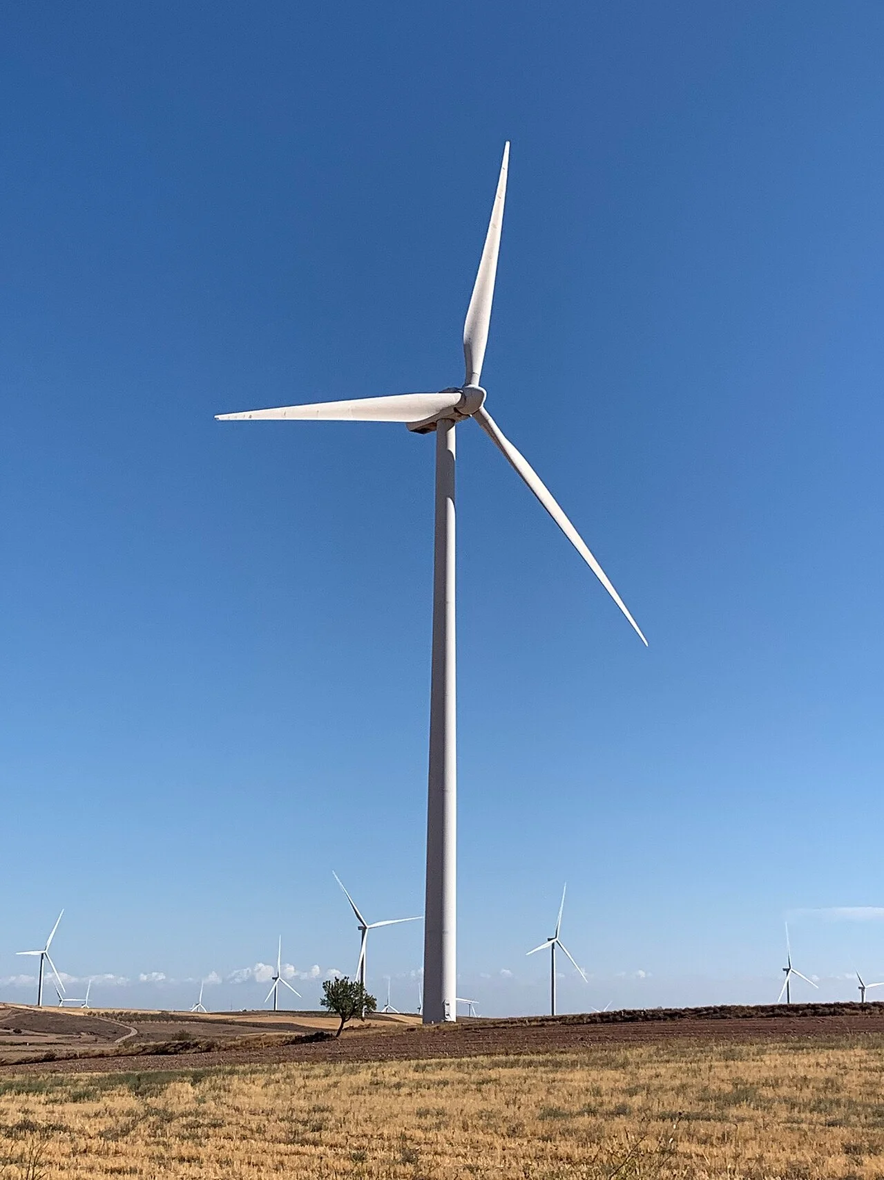 Photo of Fuendejalón