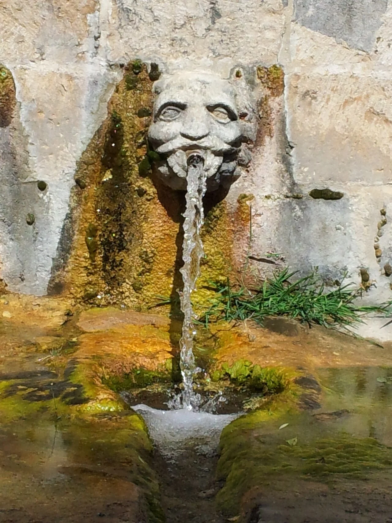 Photo of Fuentelencina