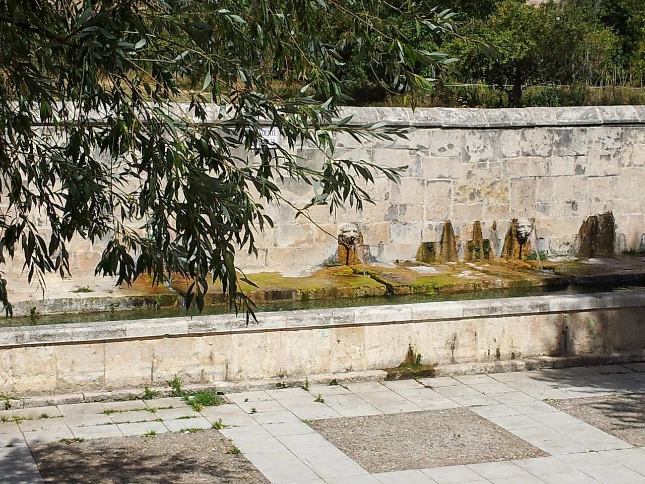 Photo of Fuentelencina