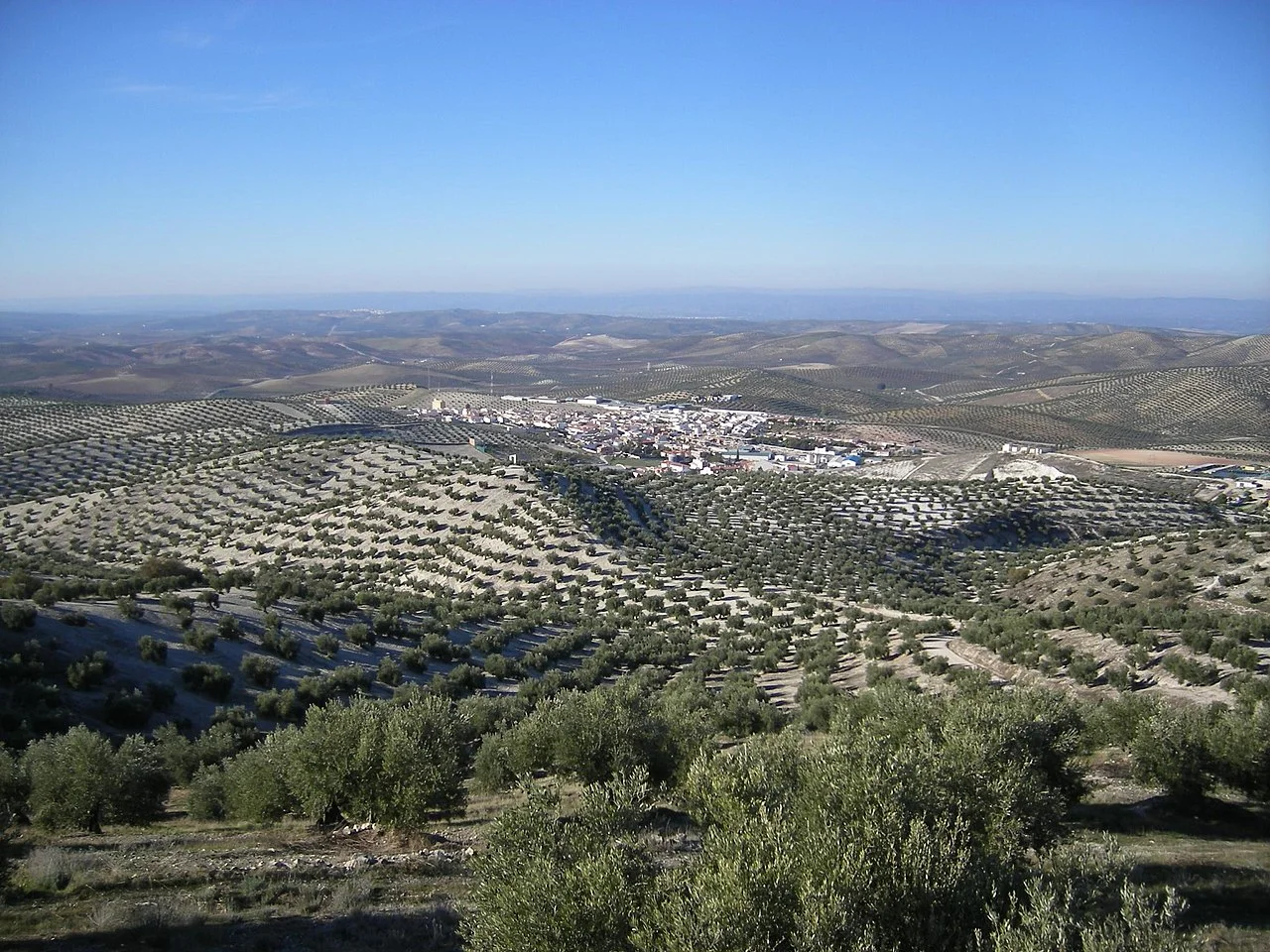 Photo of Fuerte del Rey