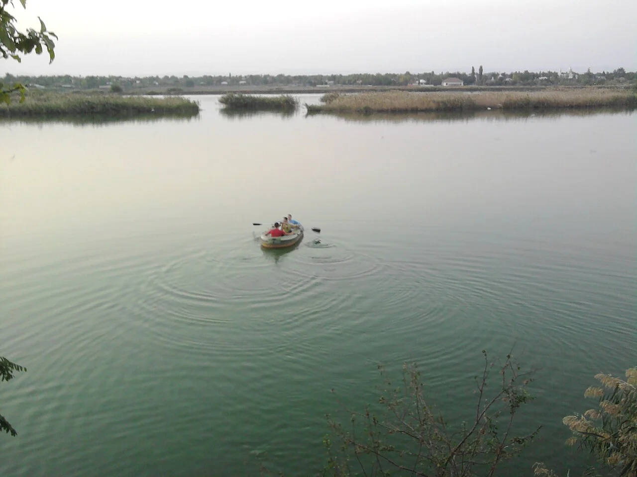 Photo of Fulga de Jos