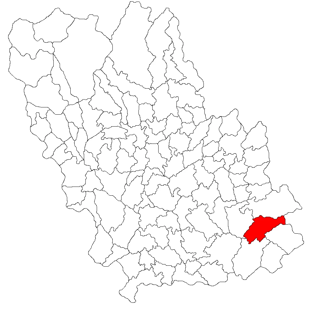 Photo of Fulga de Sus