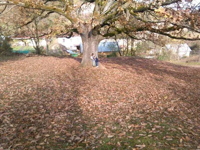 Photo of Fushë-Muhurr