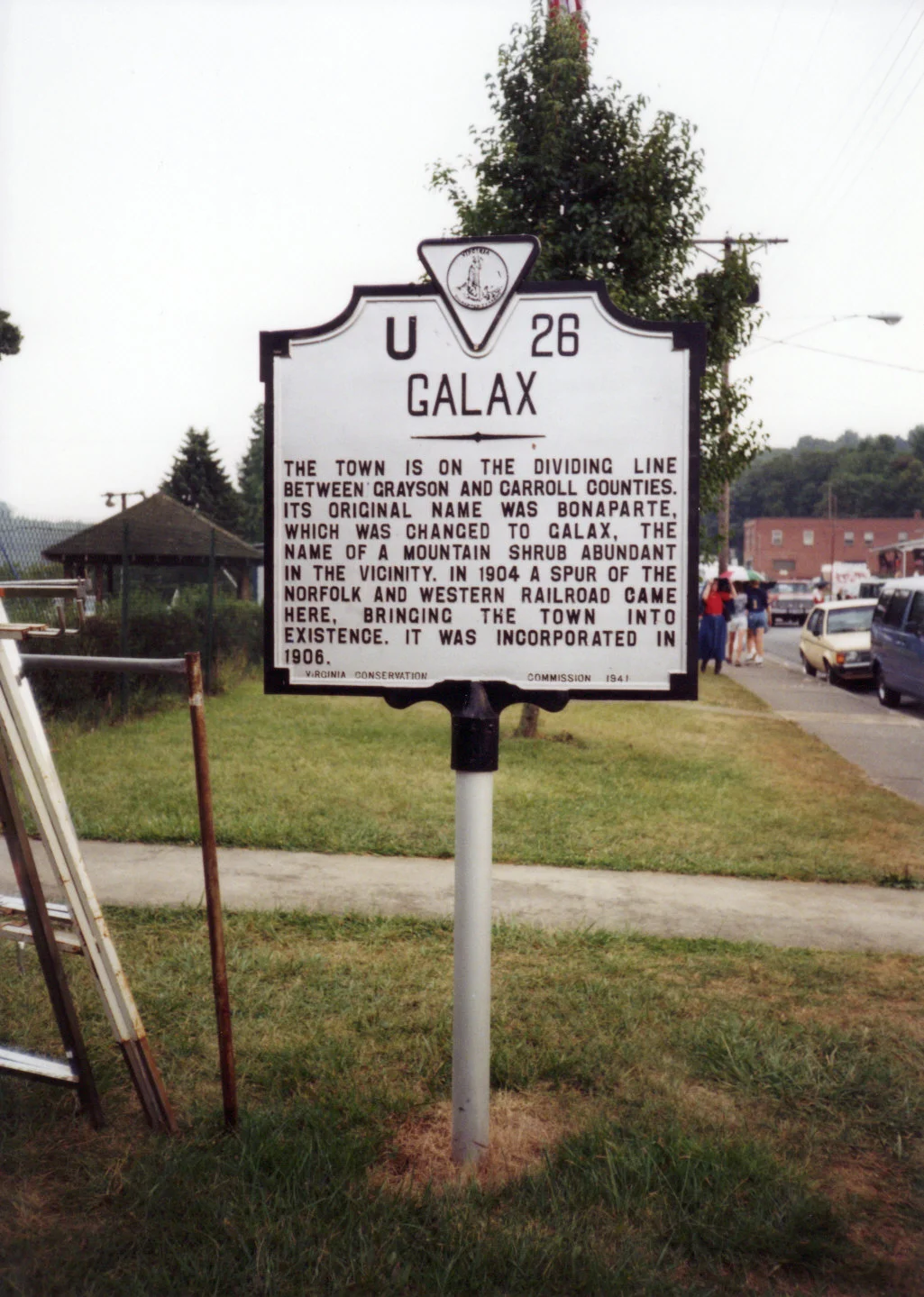 Photo of Galax