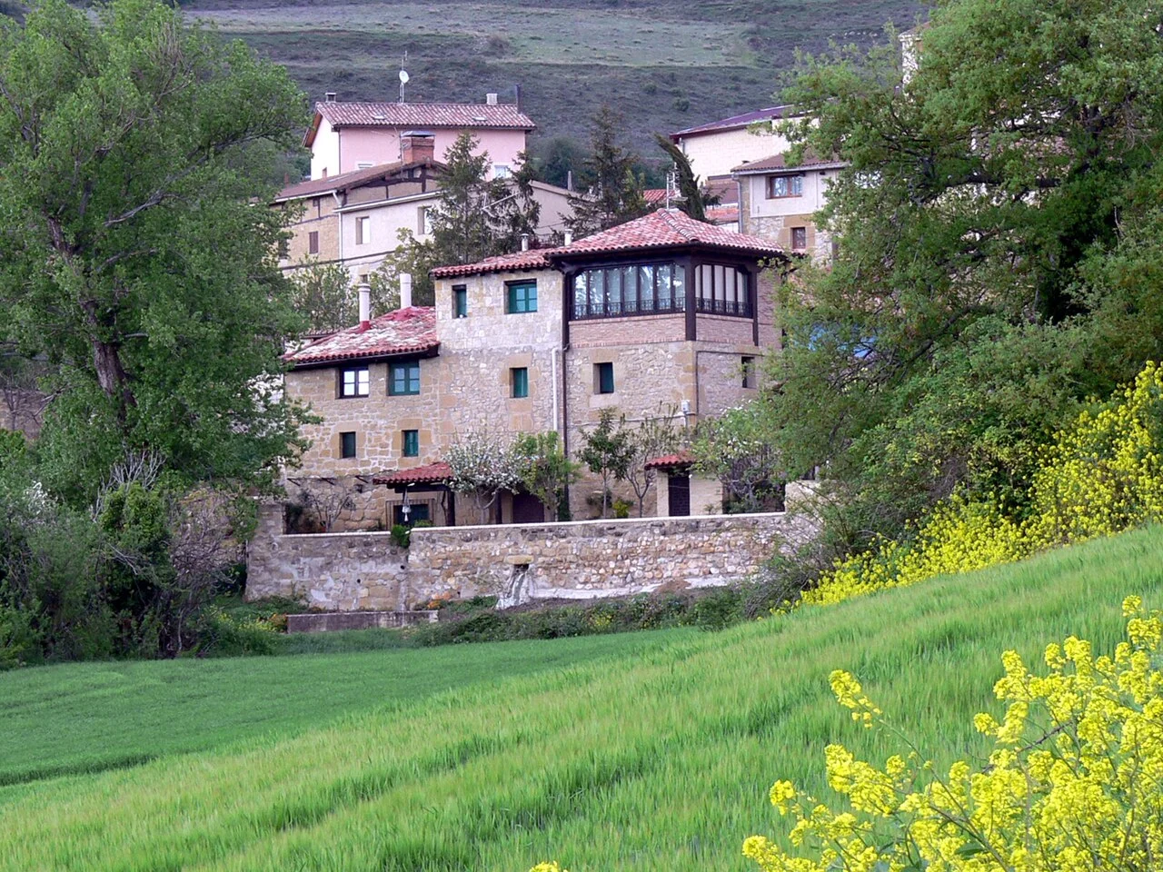 Photo of Galbárruli