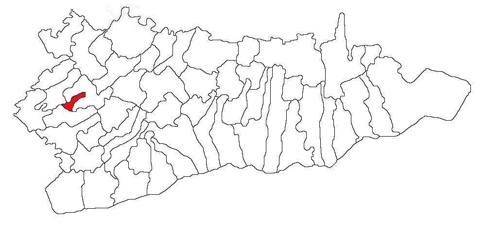 Photo of Gălbinaşi