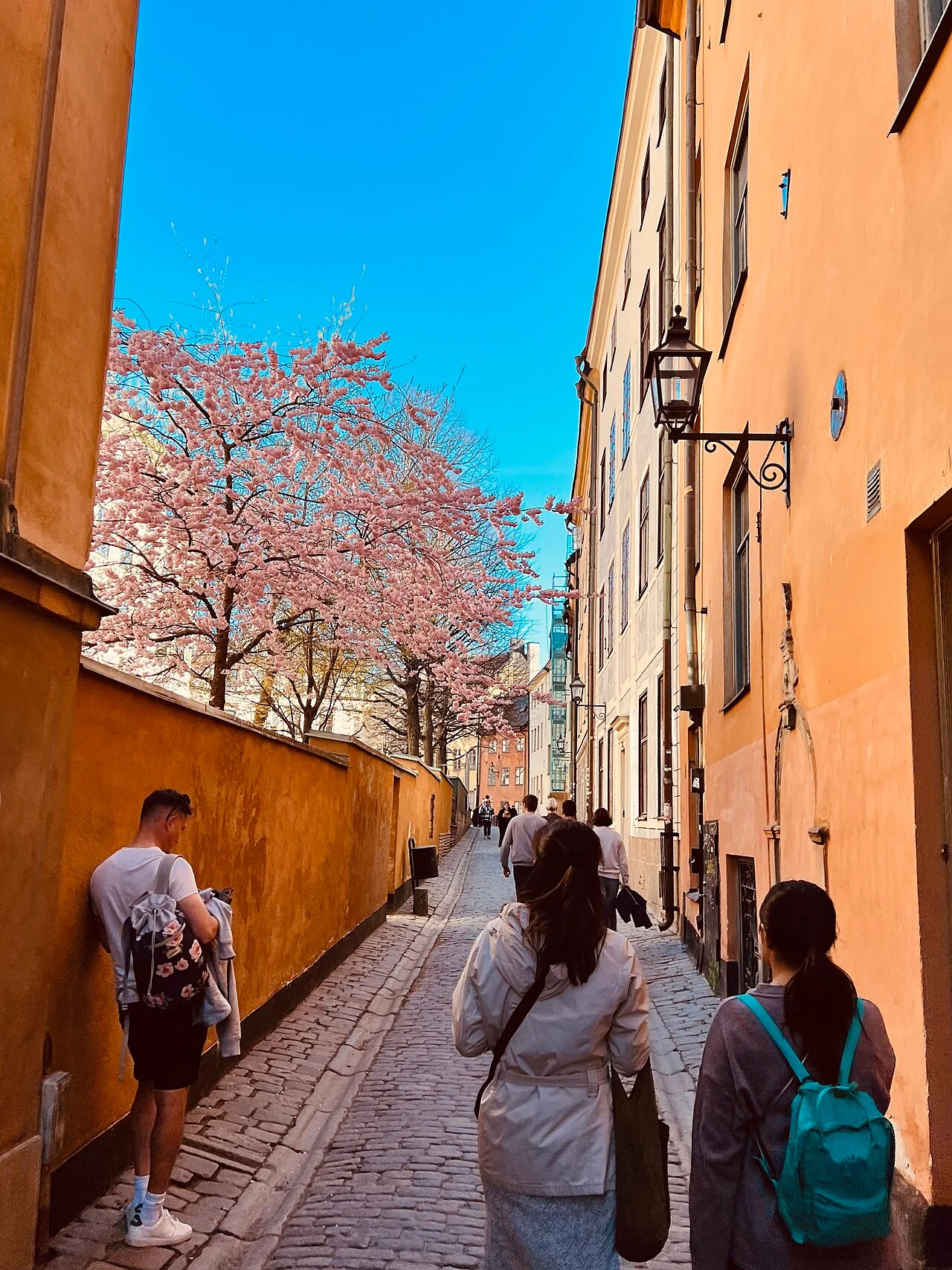Photo of Gamla Stan