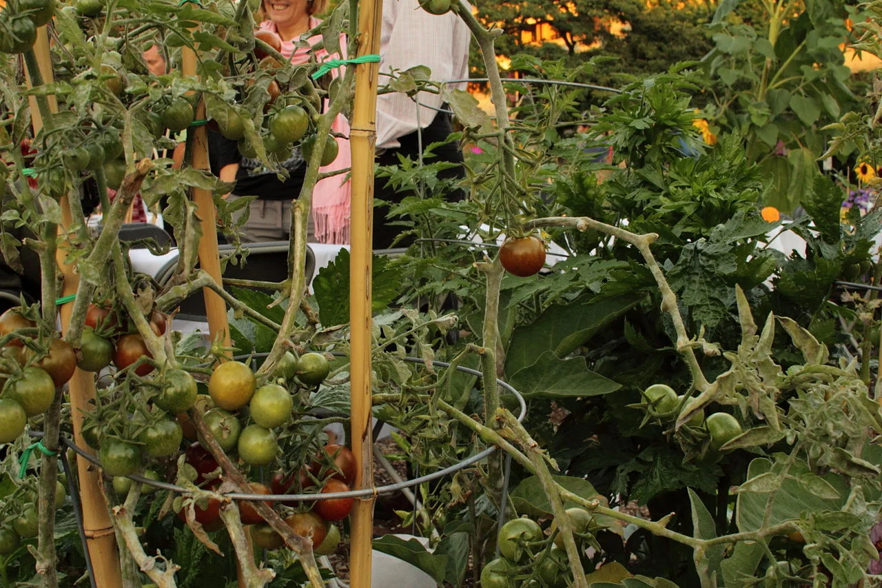 Photo of Garden Village