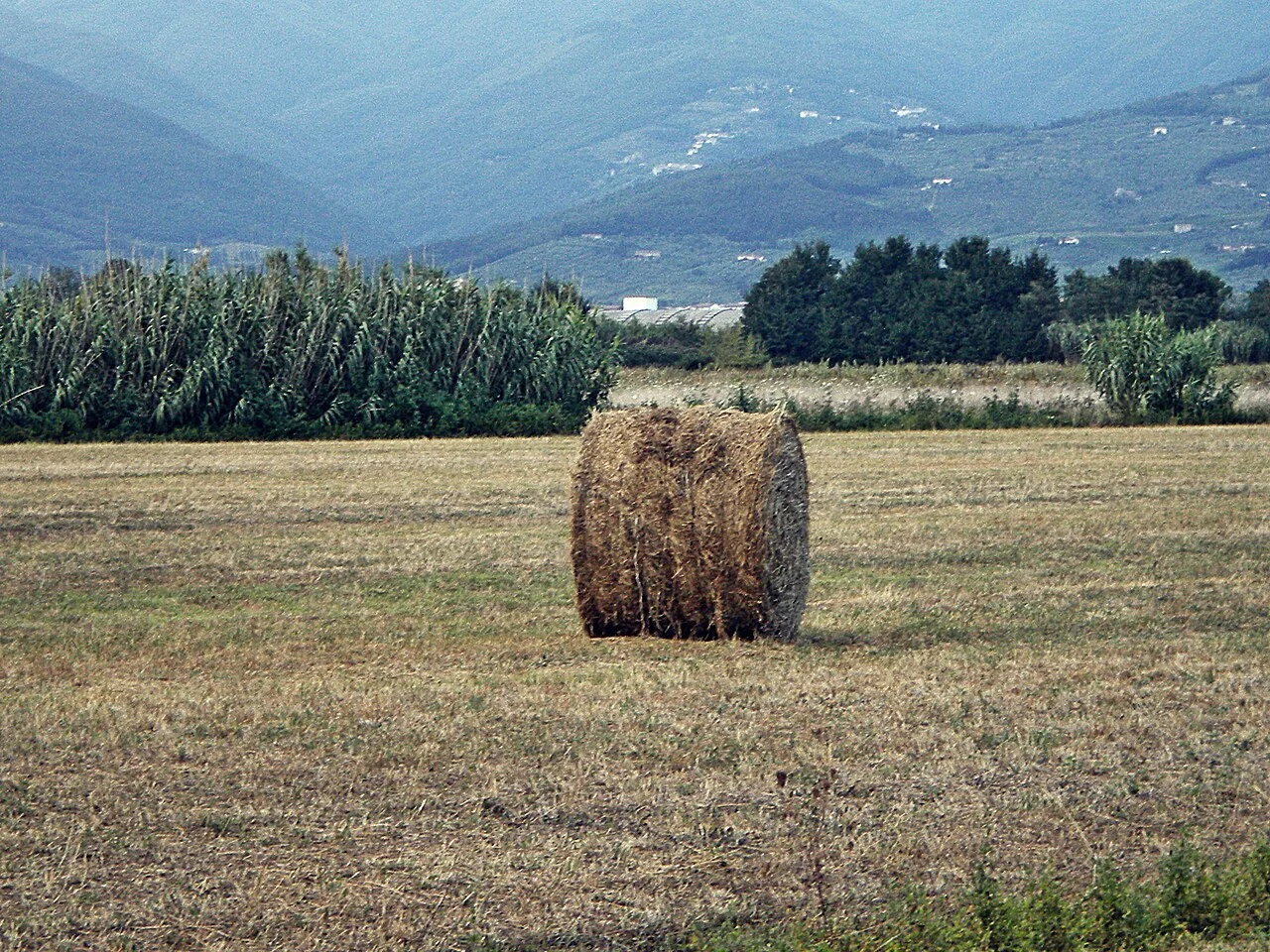 Photo of Garzigliana
