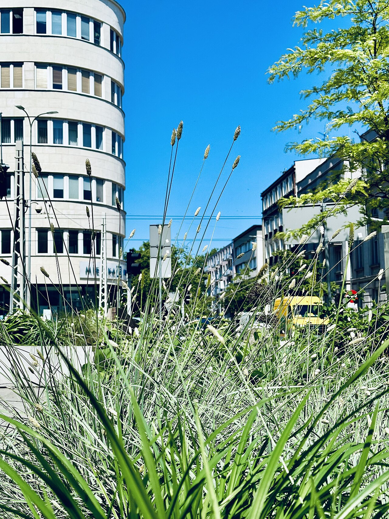 3 Maja Street