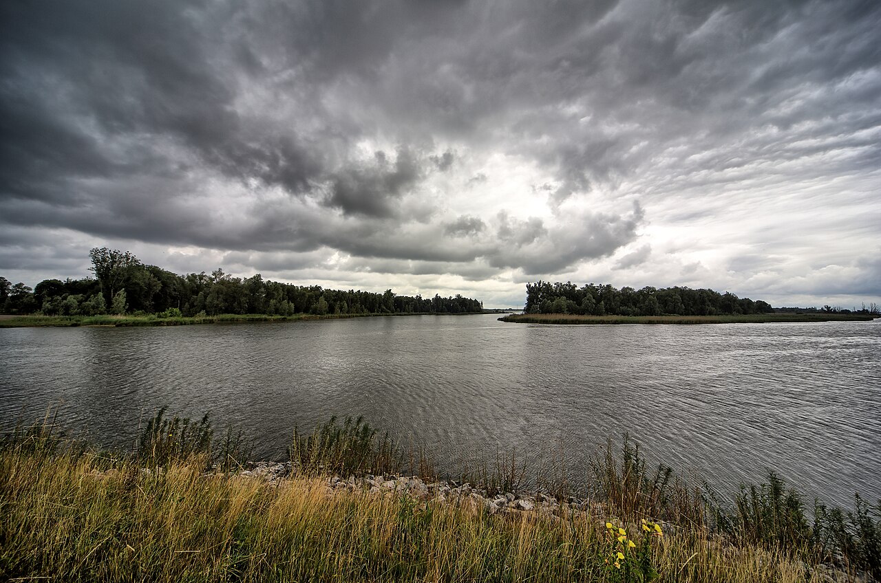 20170625 038 029 040 041 042 Dordrecht Brabantse Biesbosch