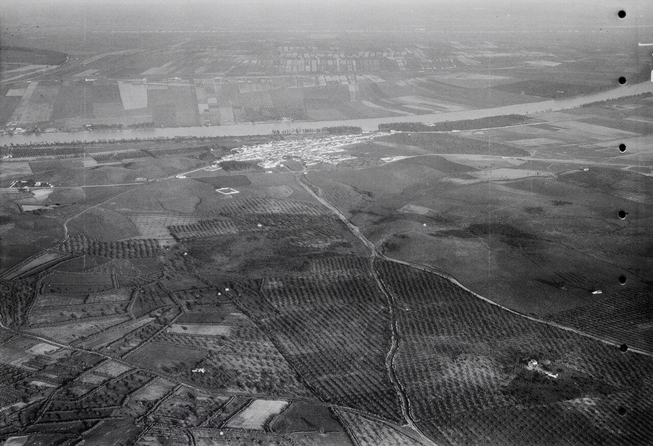 Photo of Gelves