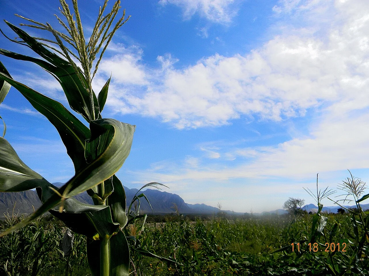 Photo of General Simón Bolívar