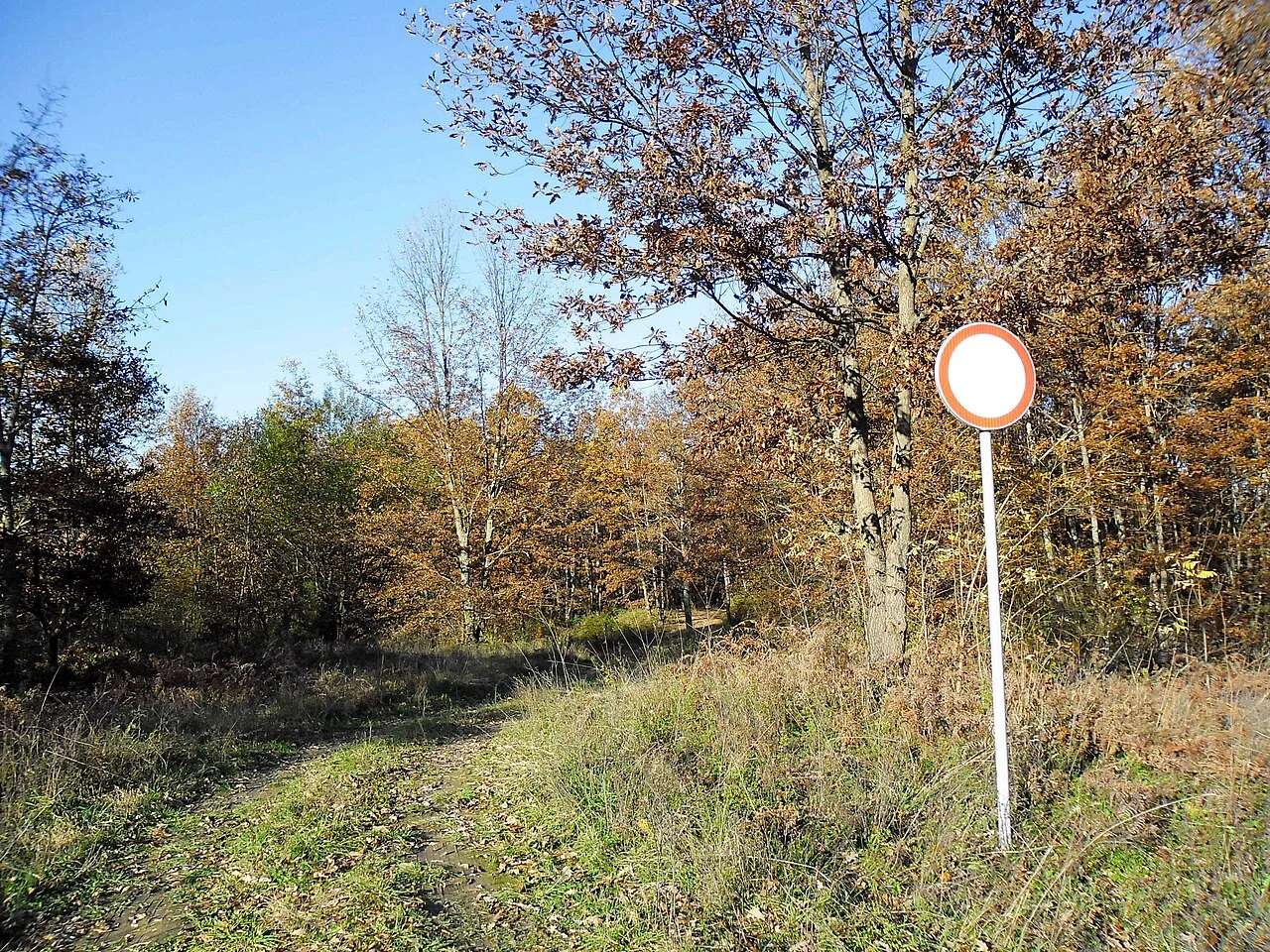 Photo of Generalski Stol