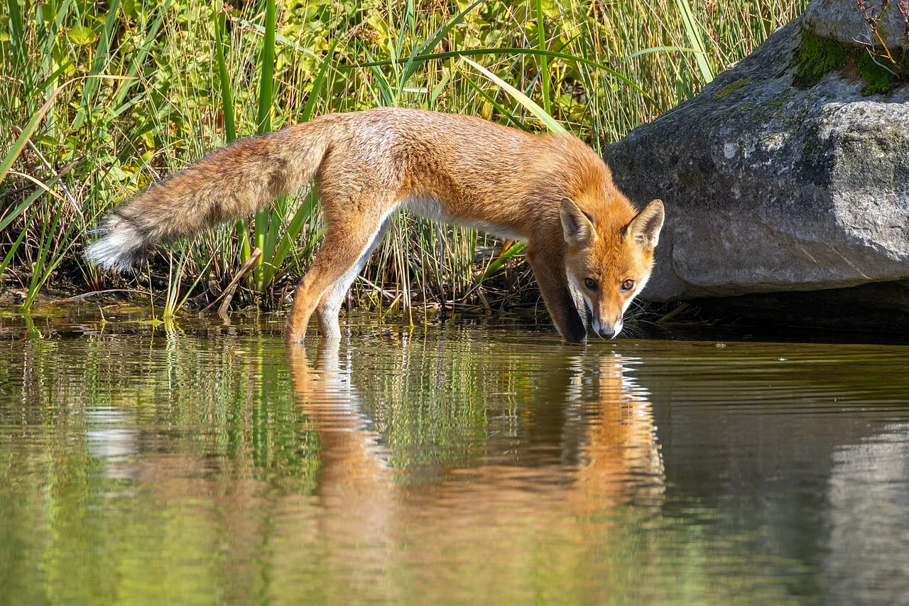 Photo of Gennevilliers