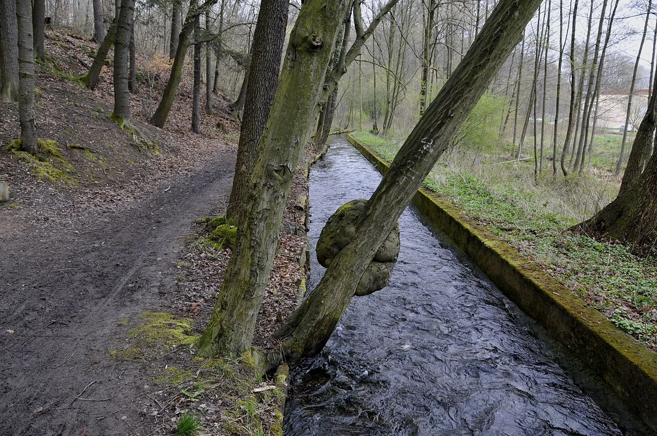 Photo of Georgenthal