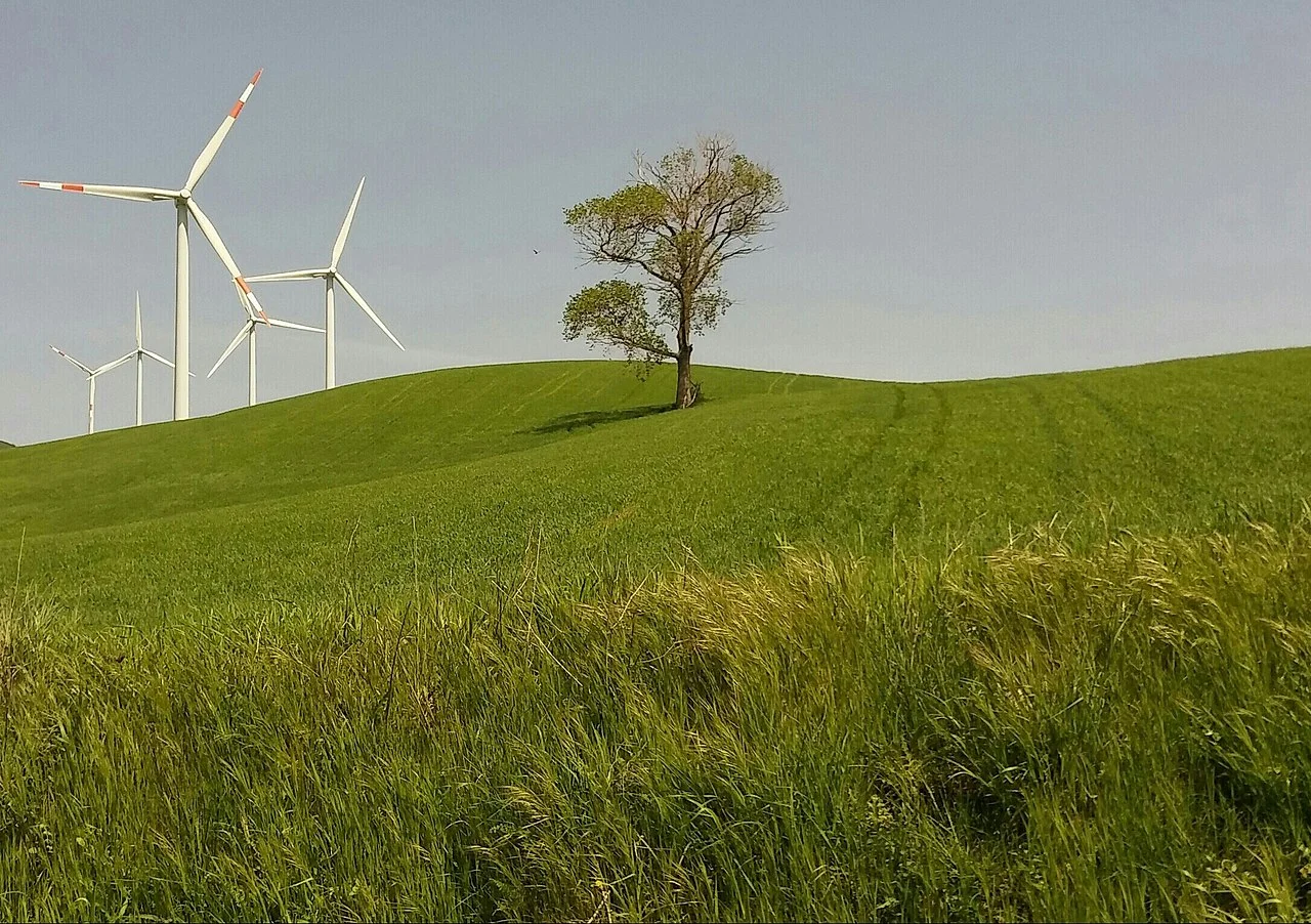 Photo of Ginestra degli Schiavoni