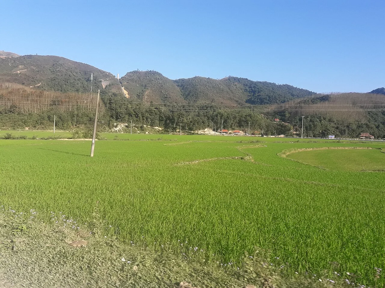 Photo of Điện Biên Đông