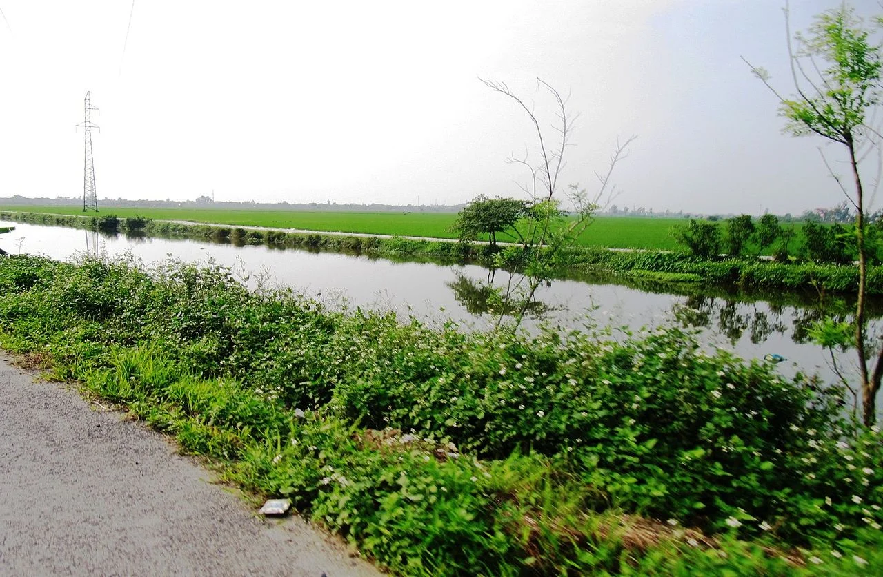 Photo of Đông Hưng