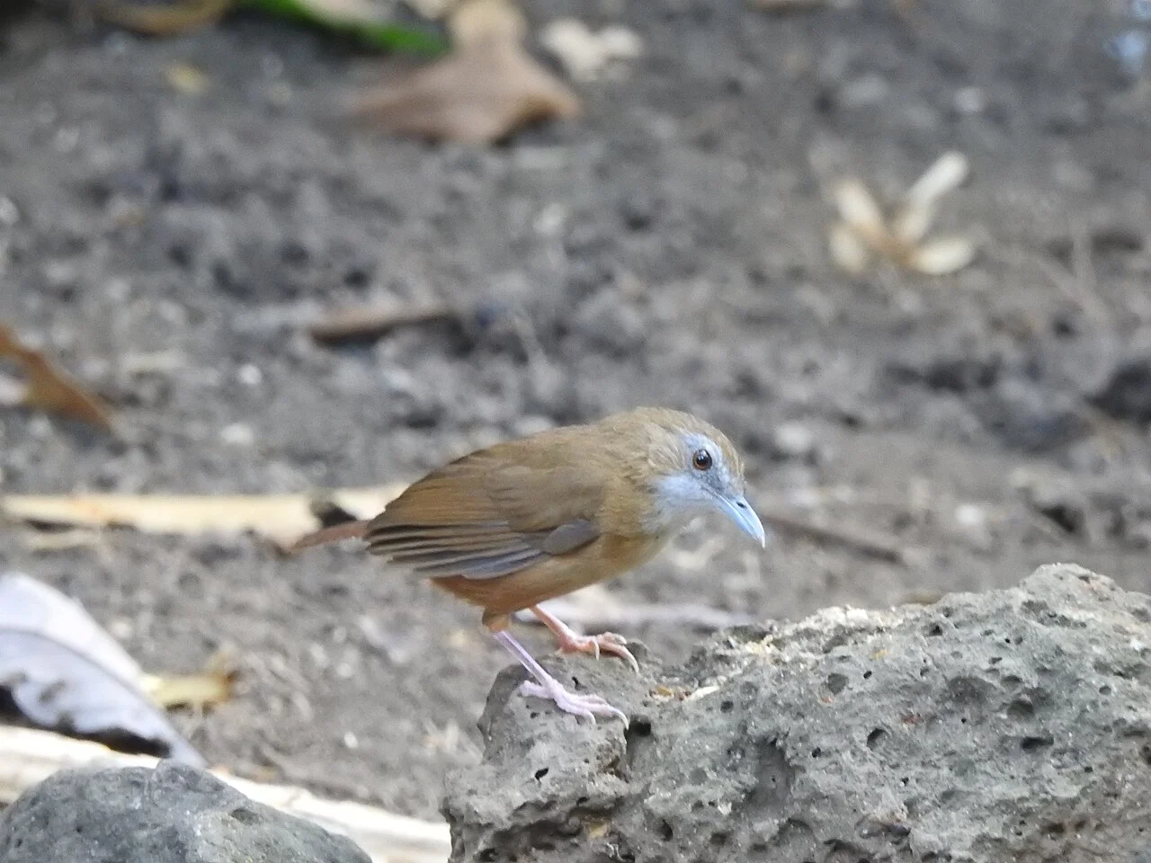 Photo of Đồng Nai