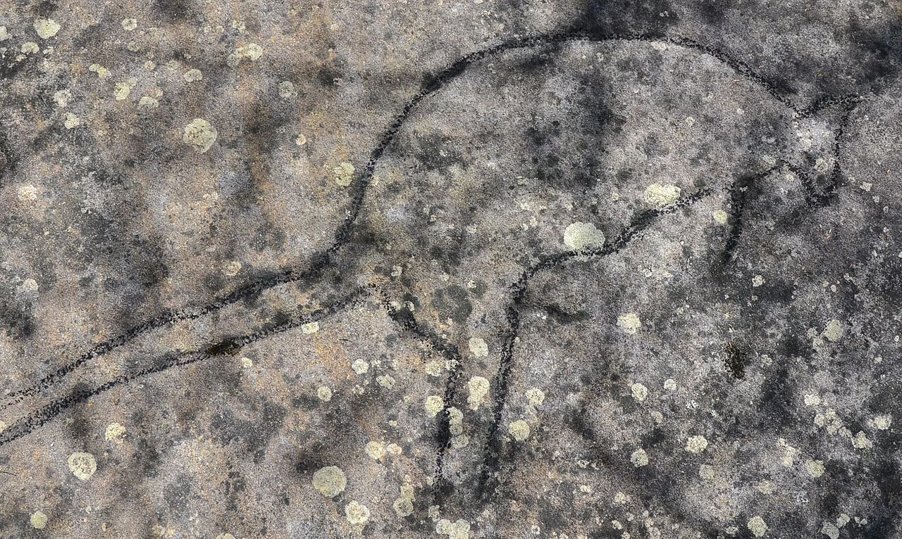 Photo of Gladesville