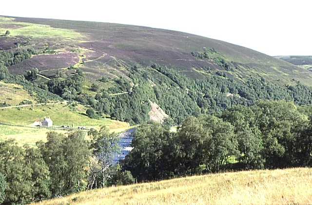 Photo of Glen Avon