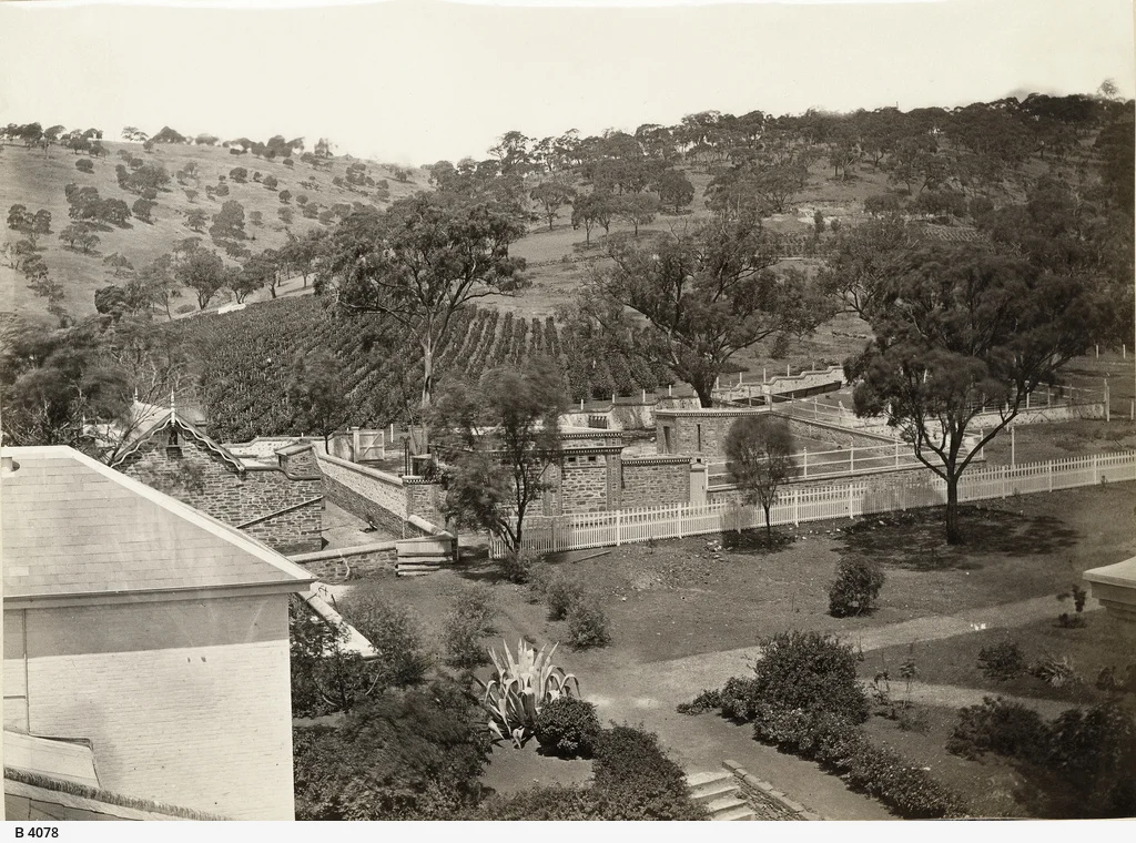 Photo of Glen Osmond