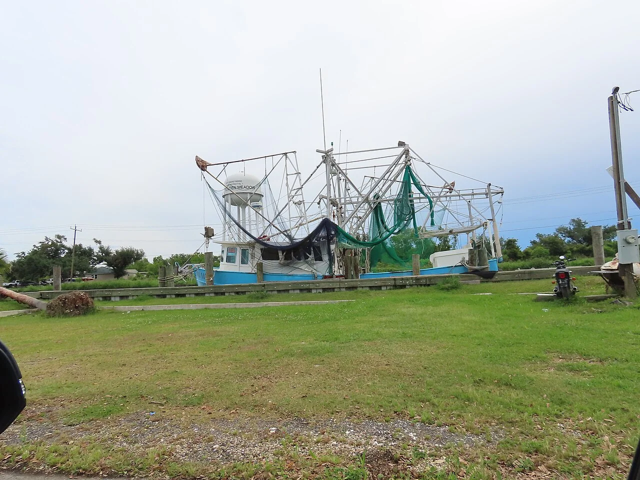 Photo of Golden Meadow