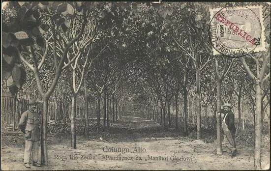 Photo of Golungo Alto