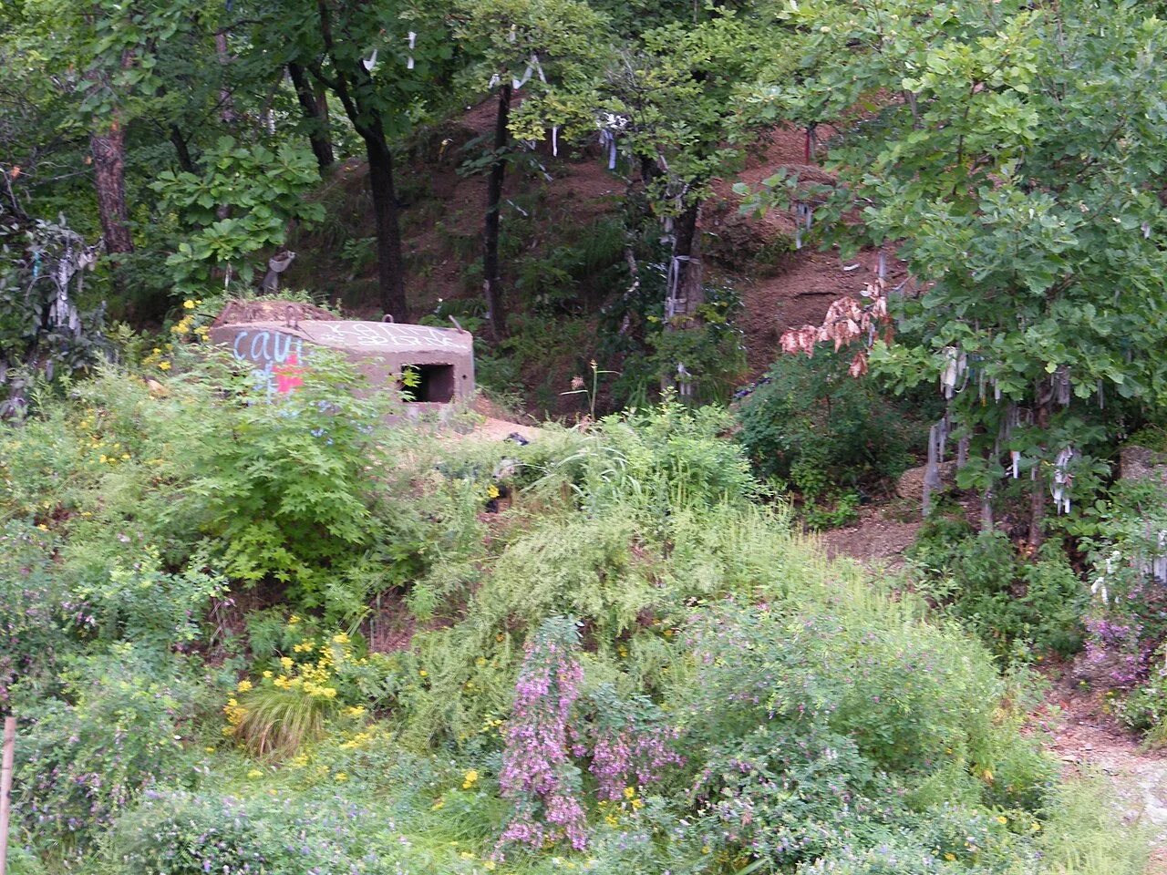 Photo of Gornyye Klyuchi