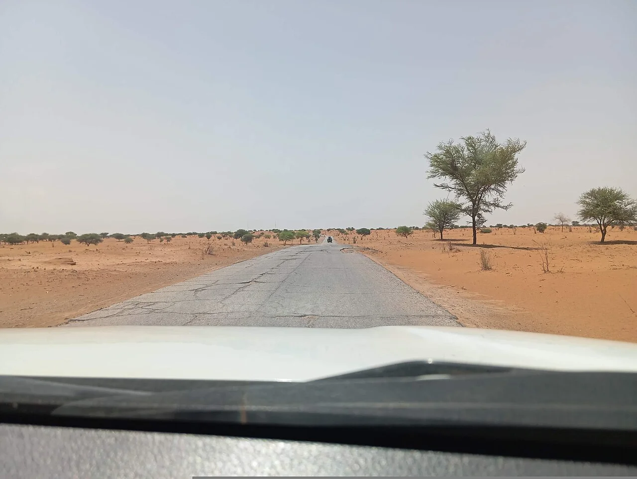 Photo of Goudoumaria