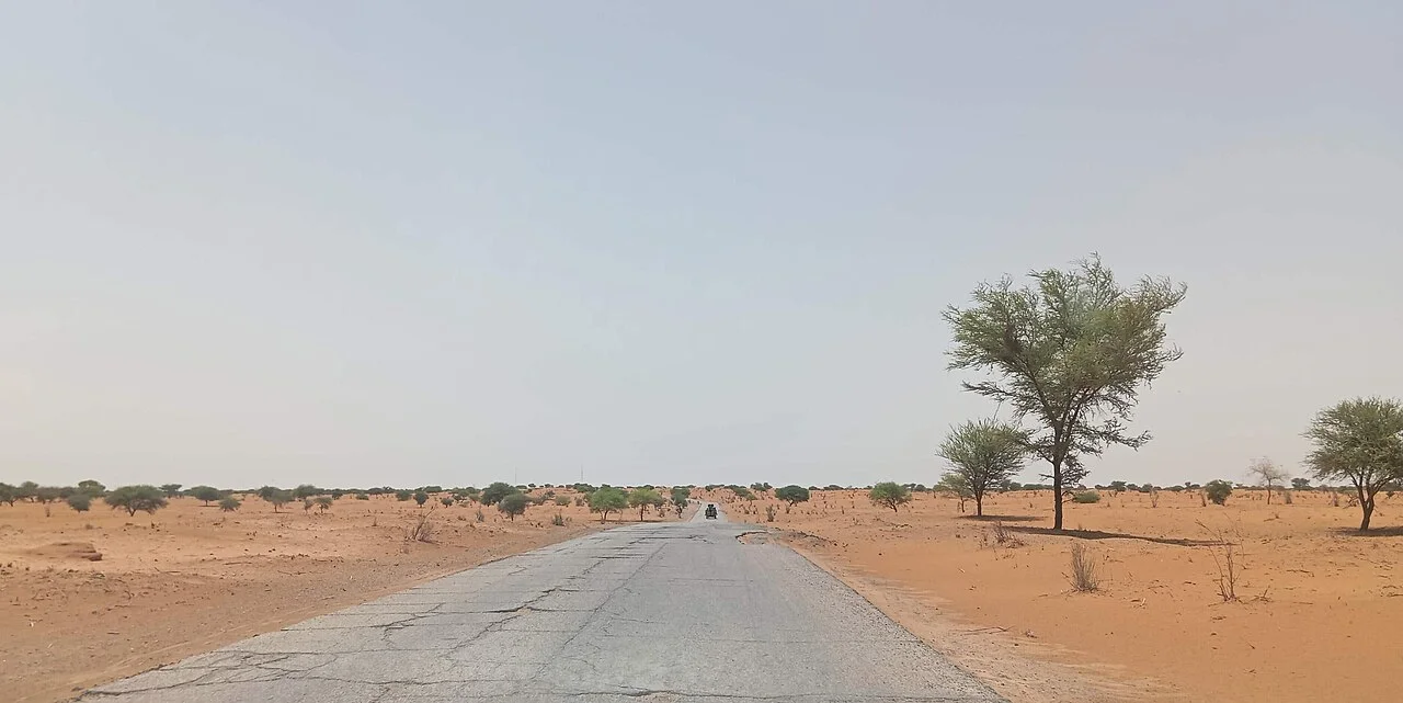 Photo of Goudoumaria