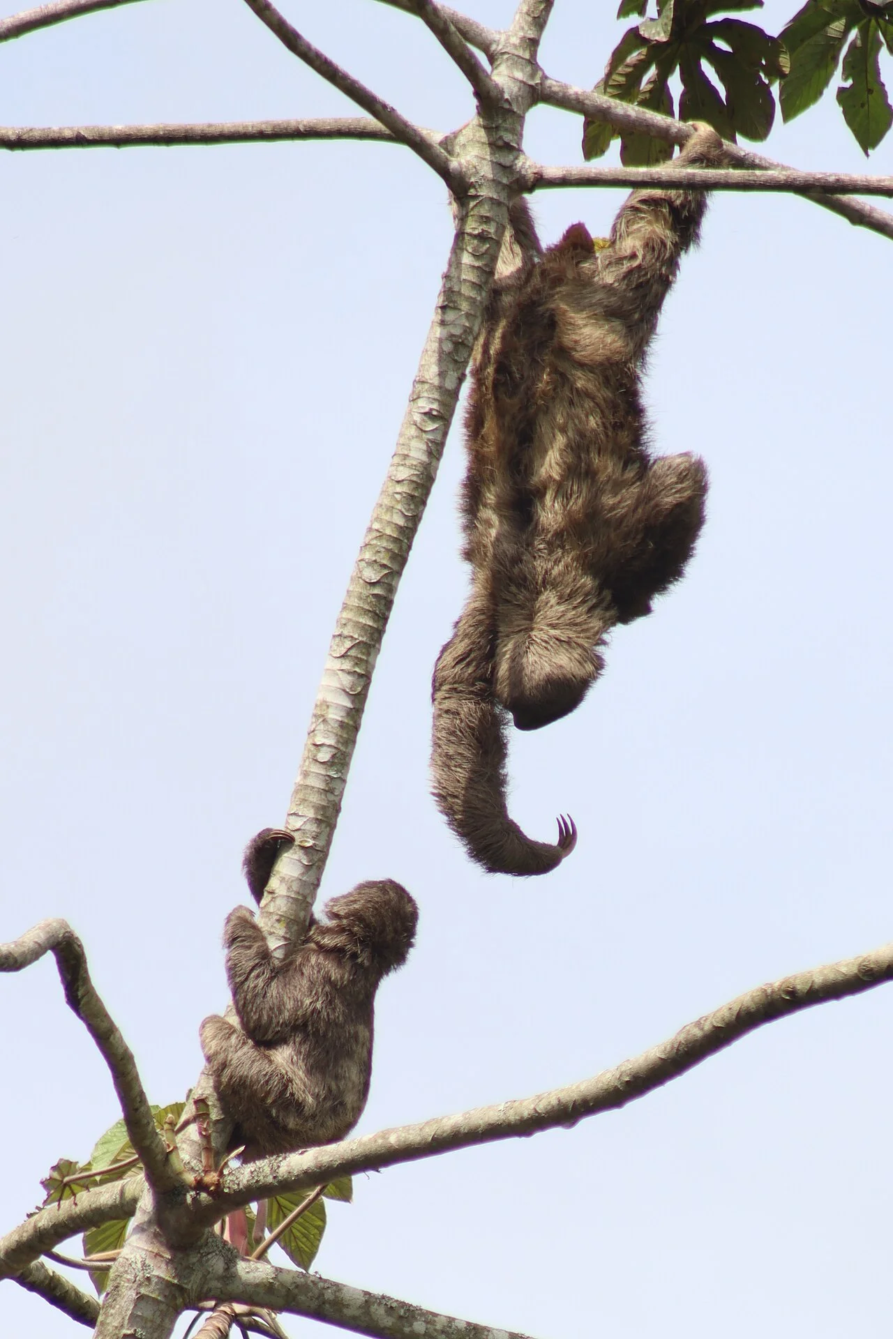 Photo of Governador Lindenberg
