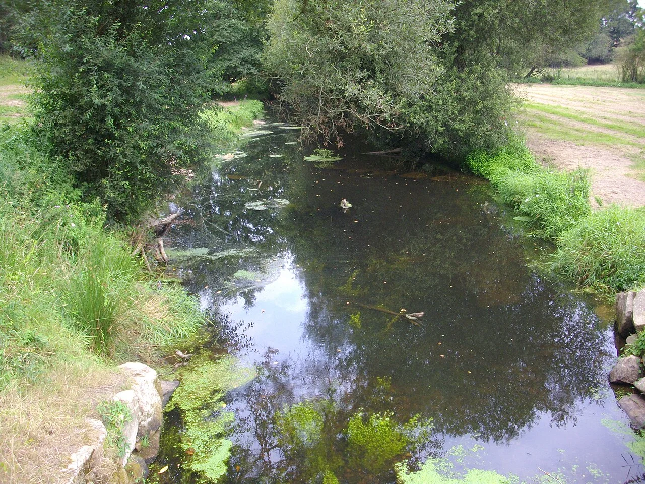 Photo of Grand-Champ