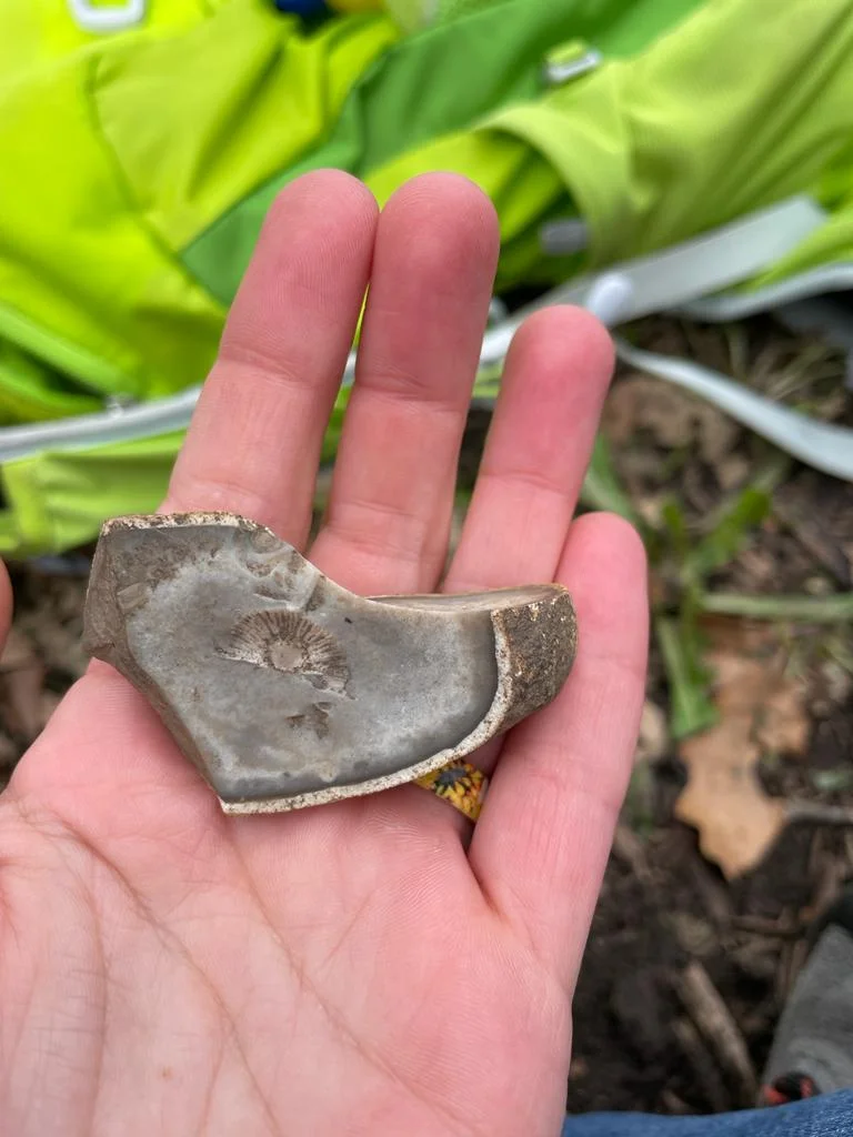 Photo of Grand Meadow