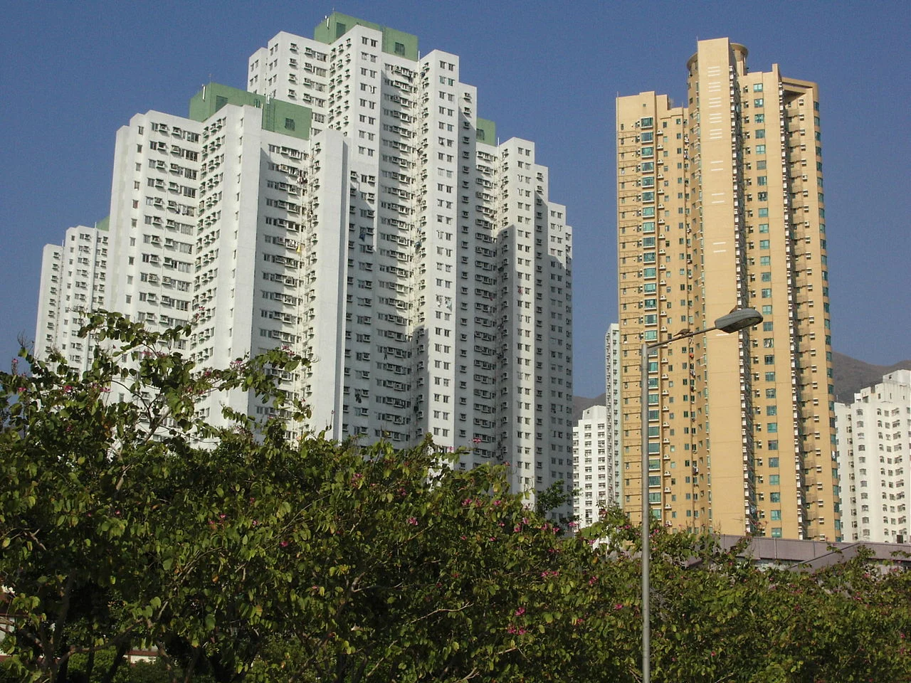 Photo of Grand View Garden