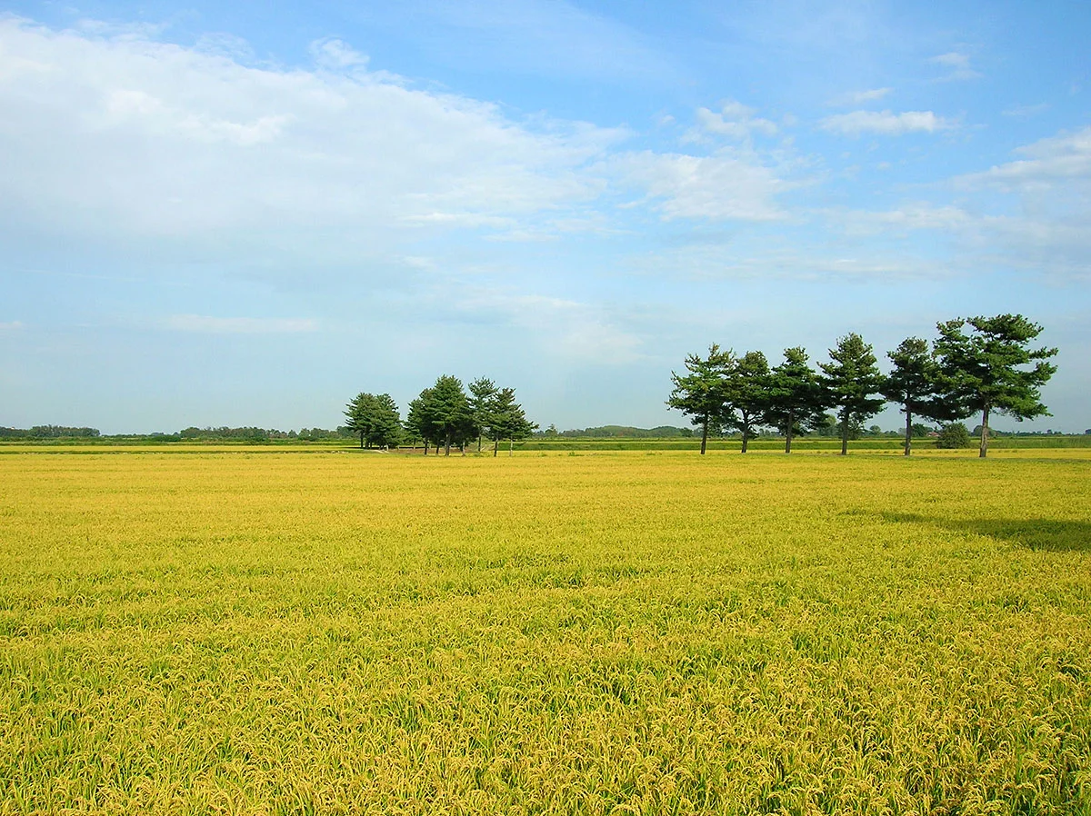 Photo of Granozzo con Monticello