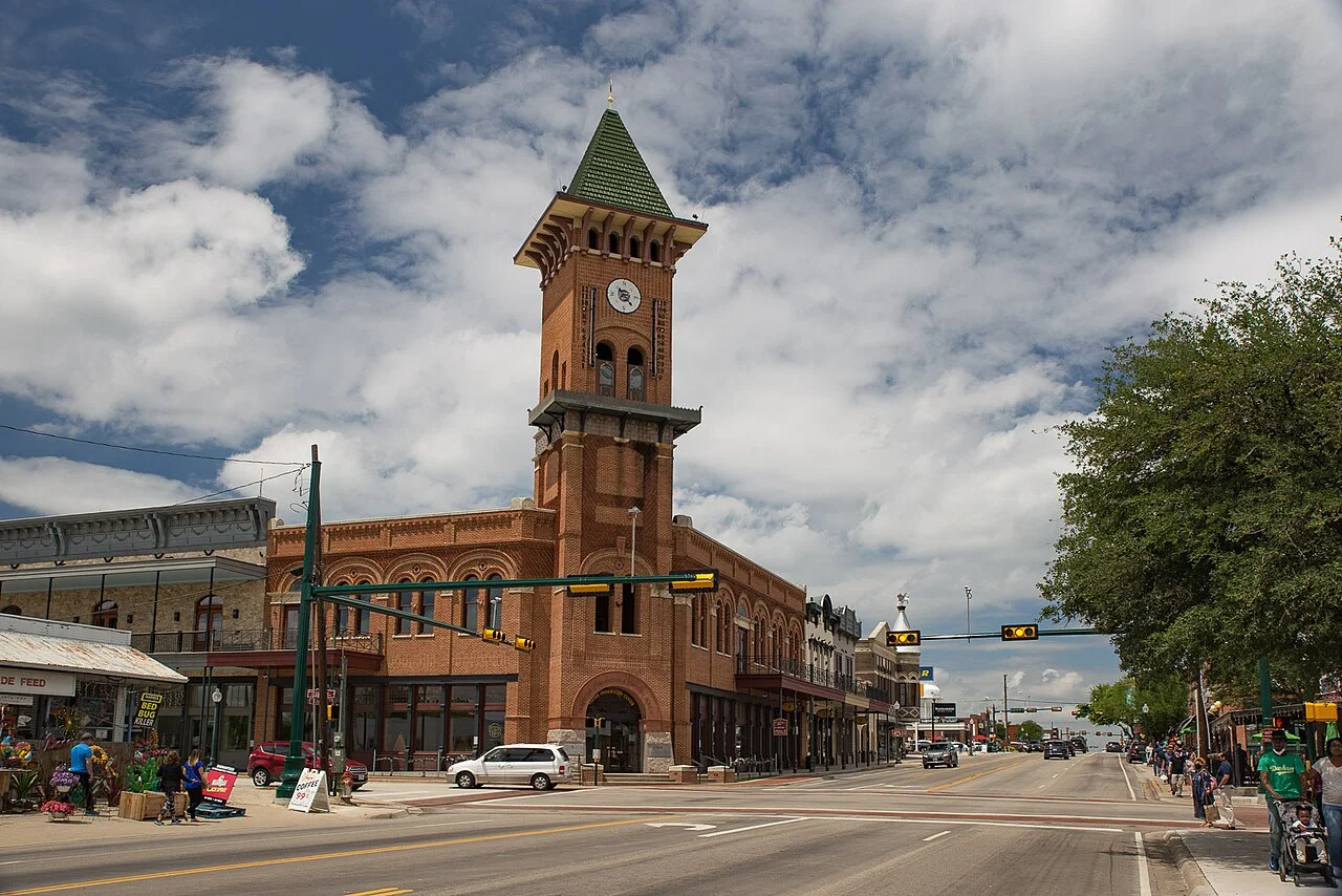 Photo of Grapevine