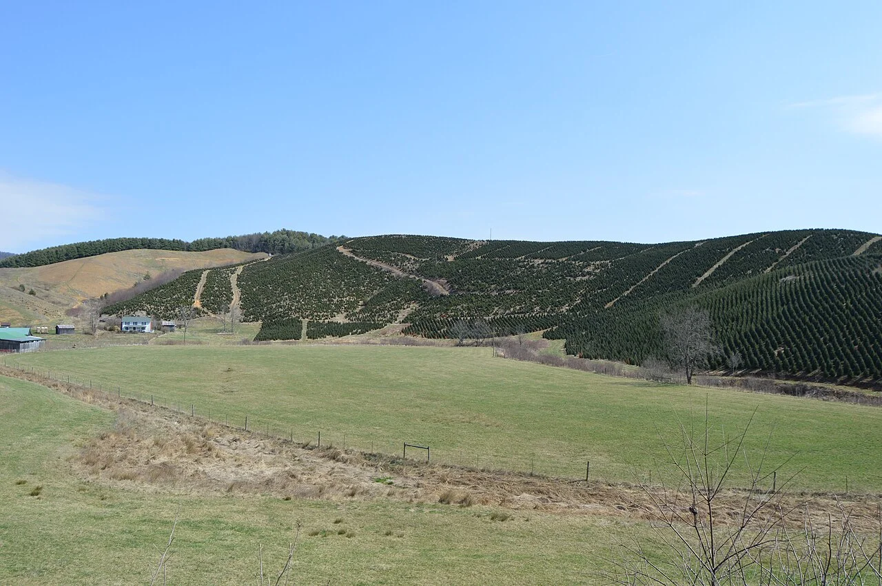 Photo of Grayson Valley