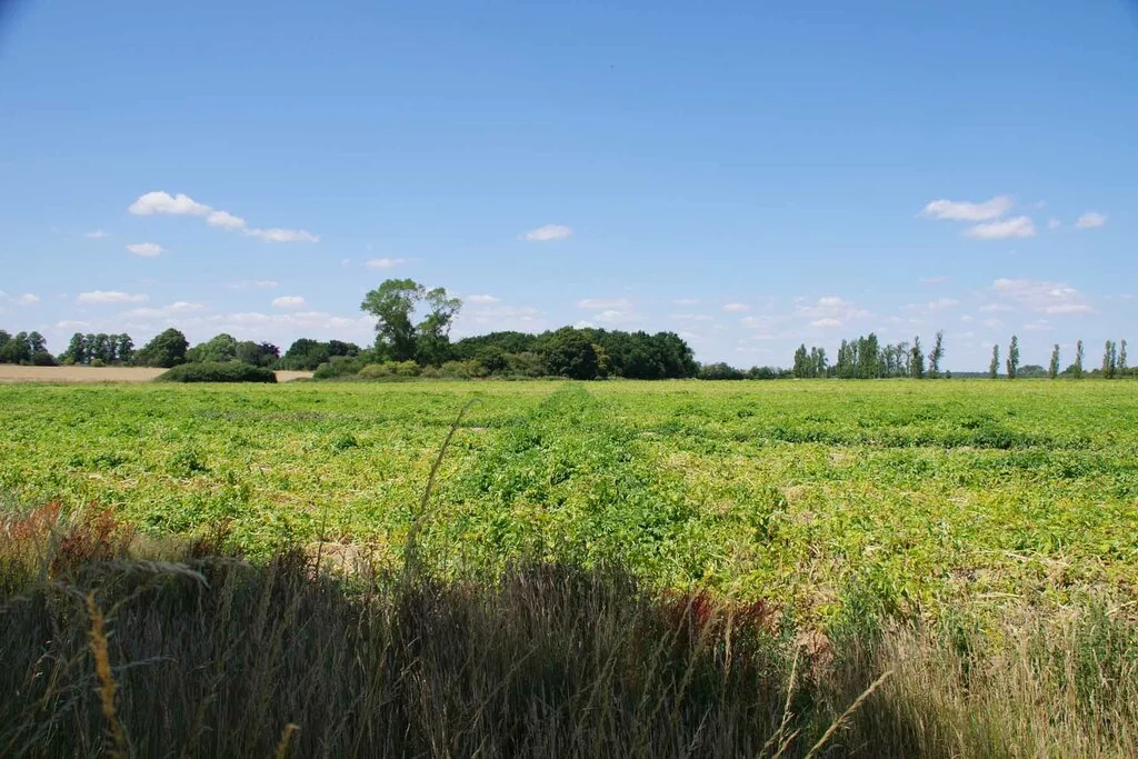 Photo of Great Horkesley