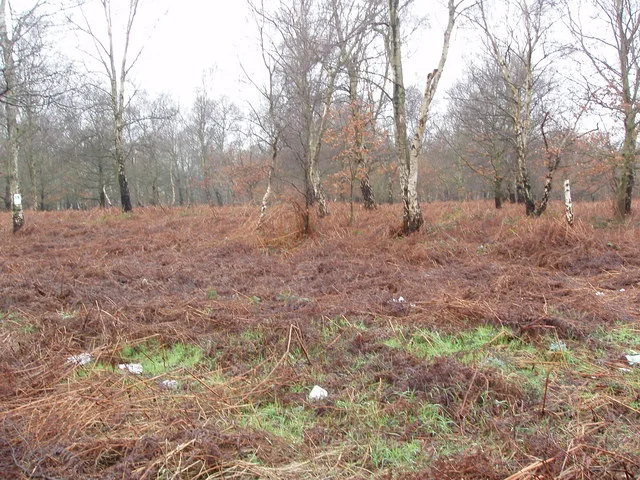 Photo of Great Houghton